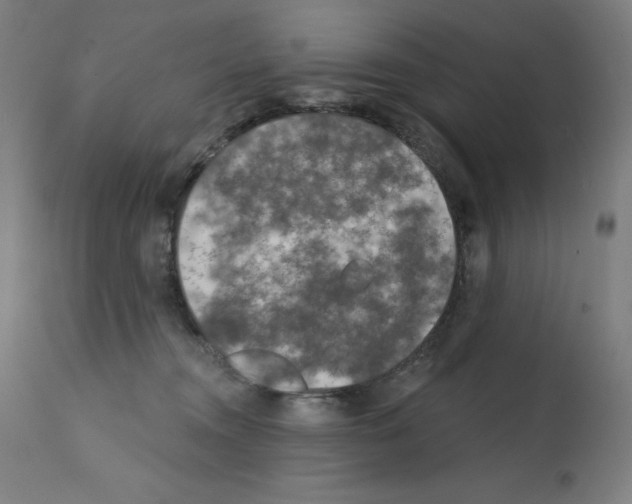 X0000112350372200909241108