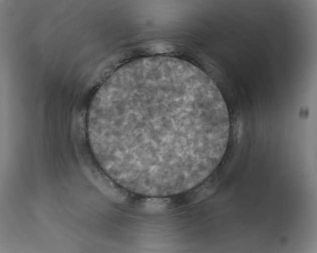 X0000112350373200909241108