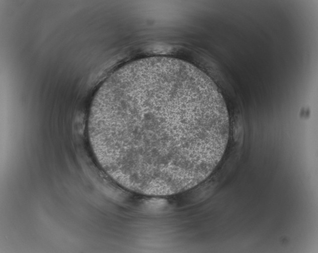 X0000112350374200909241108