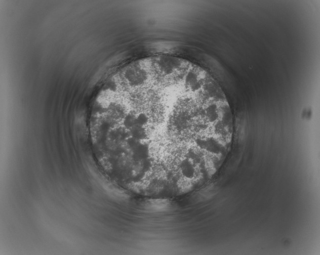 X0000112350377200909241108