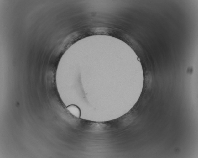 X0000112350379200909241108