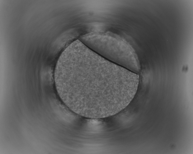 X0000112350380200909241108