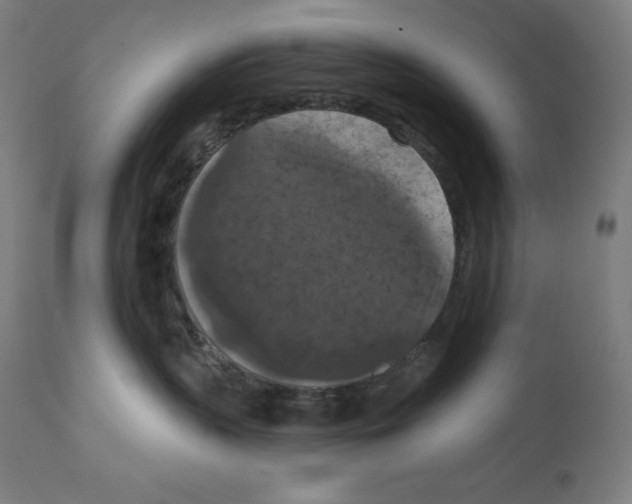 X0000112350383200909241108