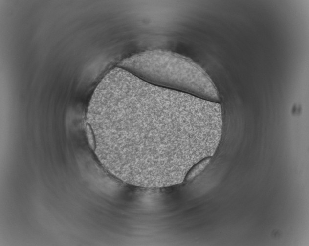 X0000112350384200909241108