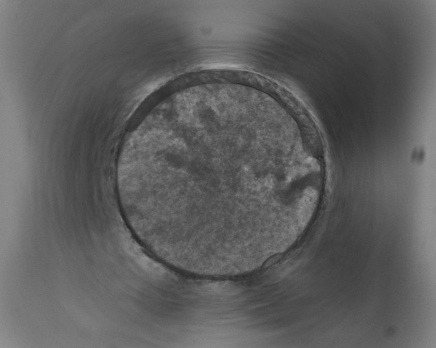 X0000112350385200909241107