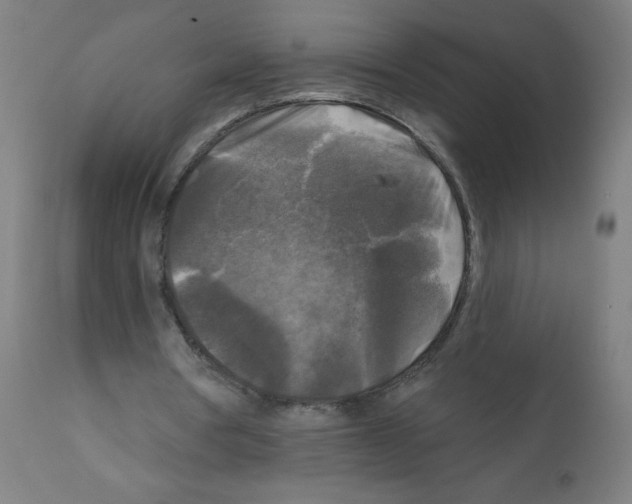 X0000112350386200909241107