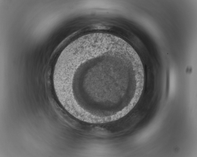 X0000112350387200909241107