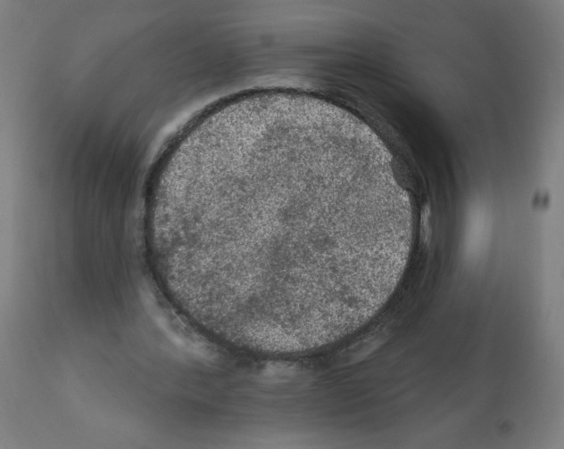 X0000112350388200909241107