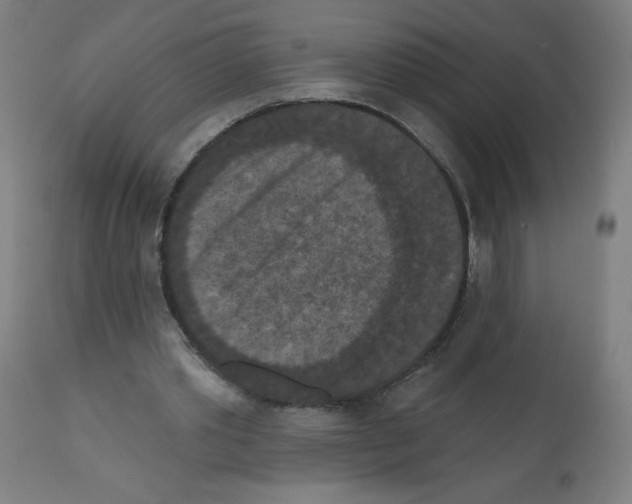 X0000112350389200909241107