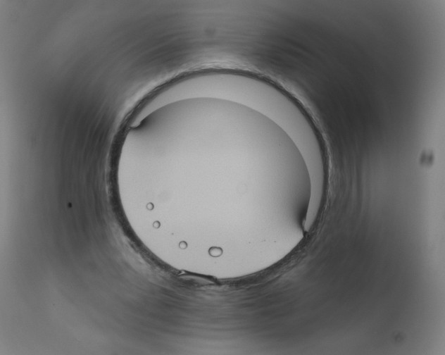 X0000112350391200909241107