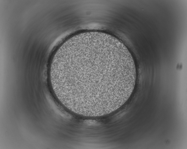 X0000112350392200909241107