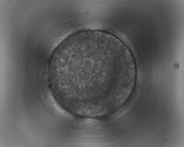 X0000112350393200909241107