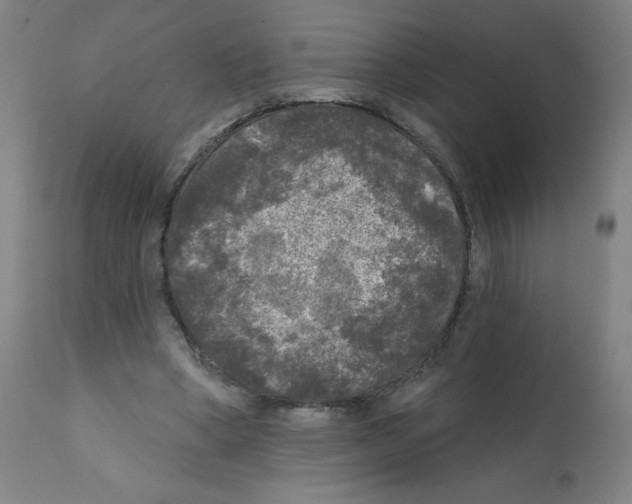 X0000112350394200909241107