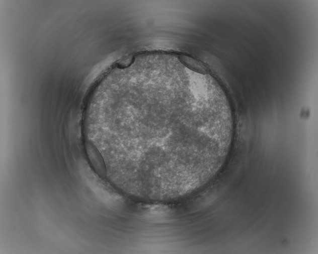 X0000112350395200909241107