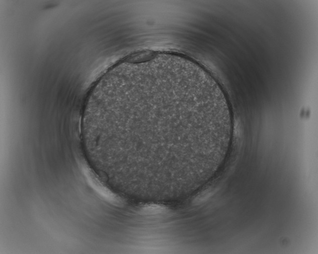 X0000112350397200909241107