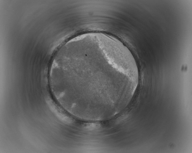 X0000112350398200909241107