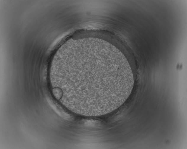 X0000112350400200909241107