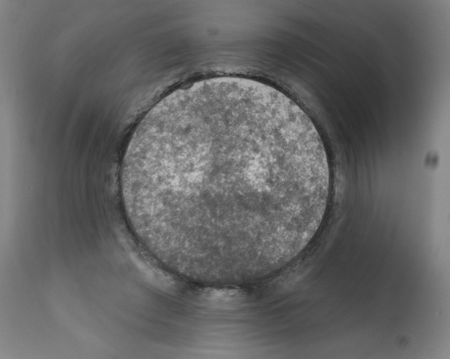 X0000112350401200909241107