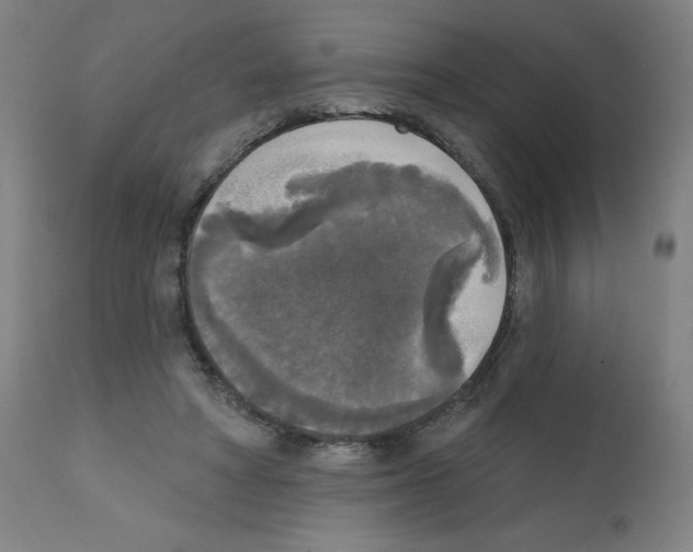 X0000112350402200909241107