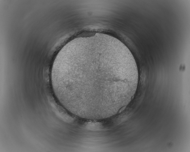 X0000112350403200909241107