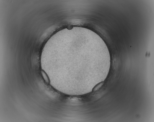 X0000112350407200909241107