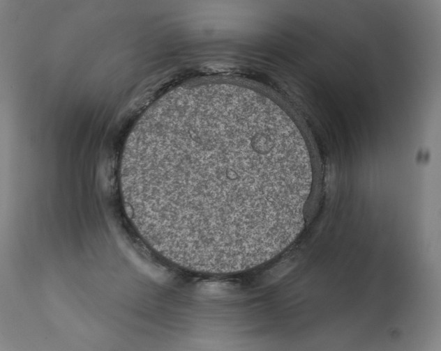 X0000112350408200909241107