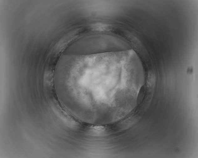 X0000112350409200909241107