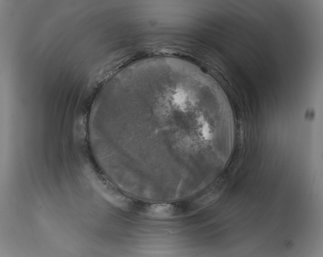 X0000112350410200909241107