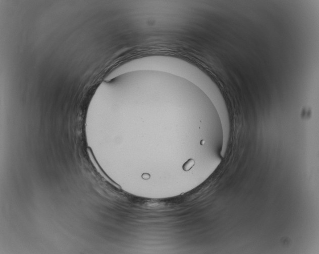 X0000112350413200909241107