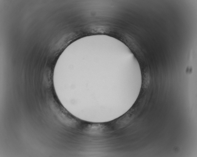 X0000112350414200909241107