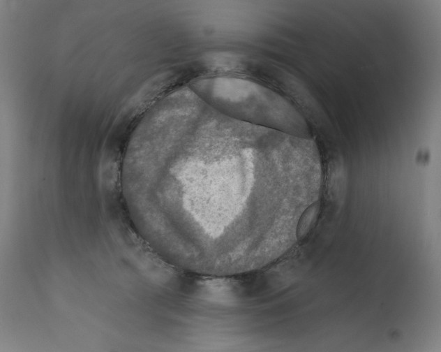 X0000112350417200909241107