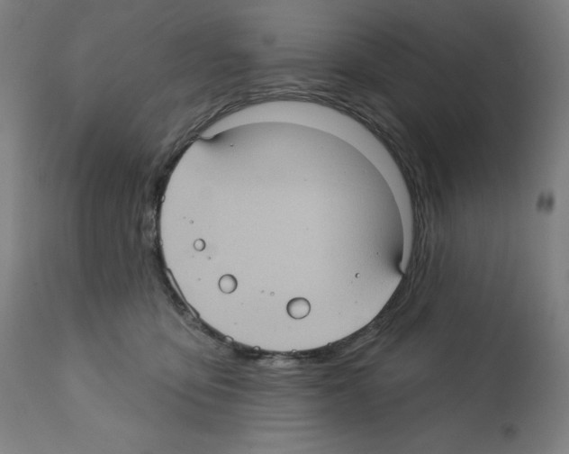 X0000112350419200909241107