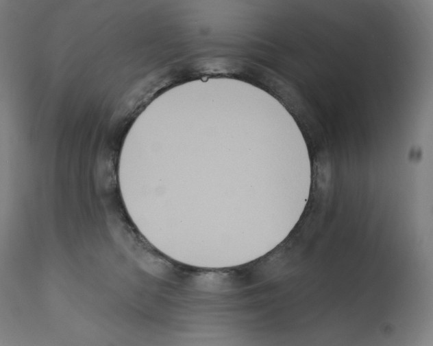 X0000112350422200909241107