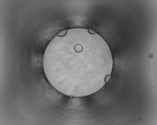 X0000112350423200909241107