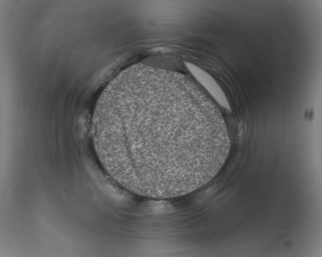 X0000112350424200909241107