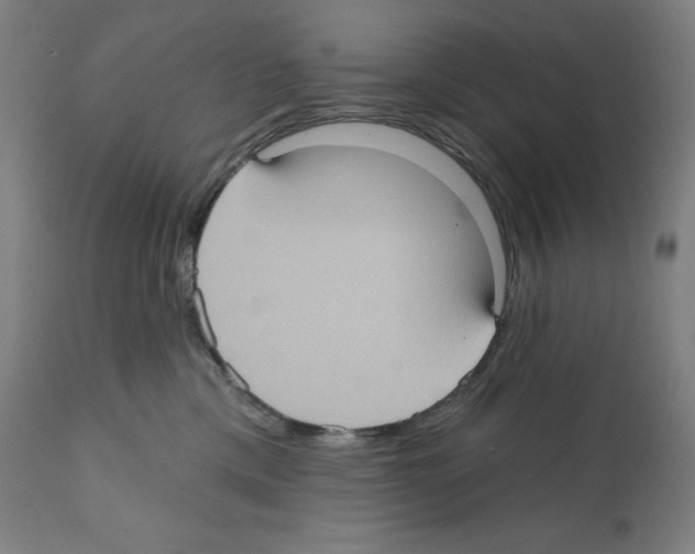 X0000112350425200909241107