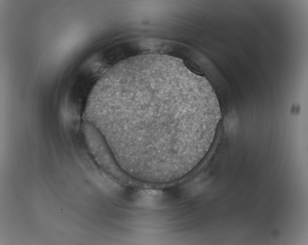 X0000112350429200909241106