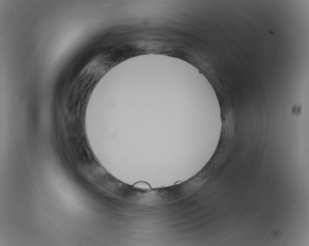 X0000112350430200909241106