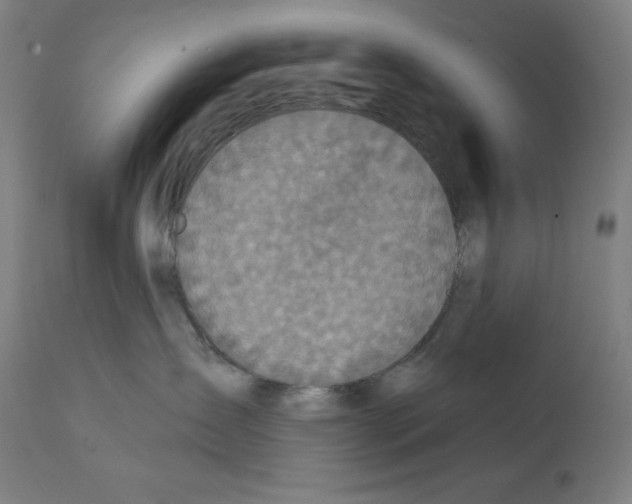 X0000112350431200909241106