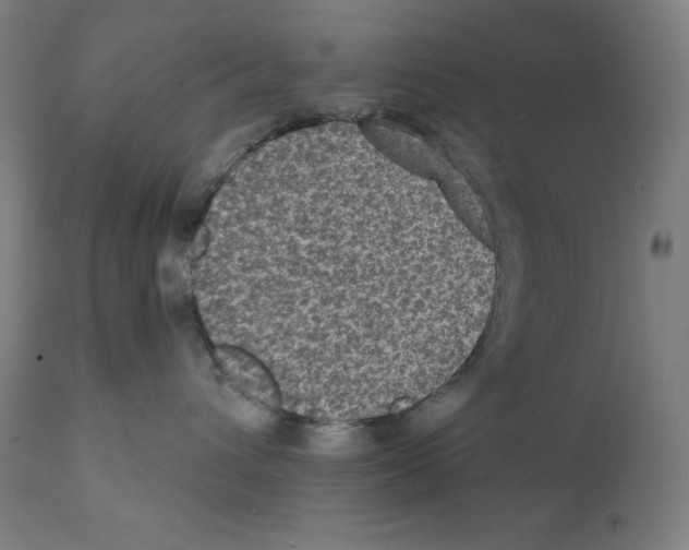 X0000112350432200909241106