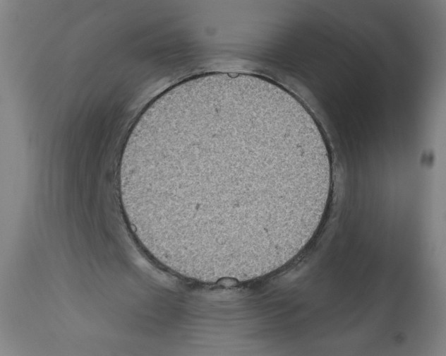 X0000112350433200909241106