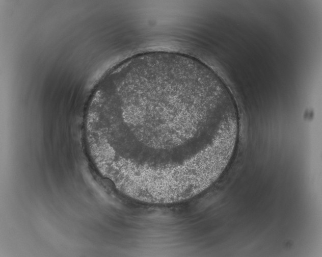 X0000112350434200909241106