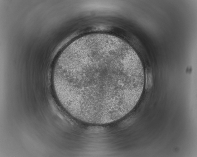 X0000112350435200909241106