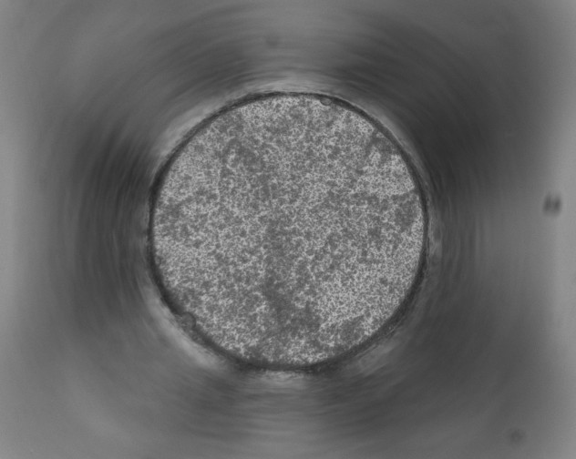 X0000112350437200909241106