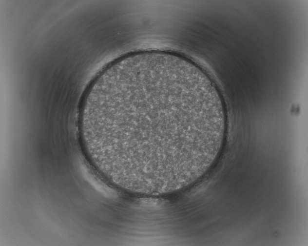 X0000112350439200909241106