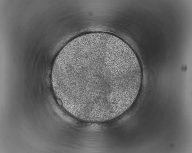 X0000112350441200909241106