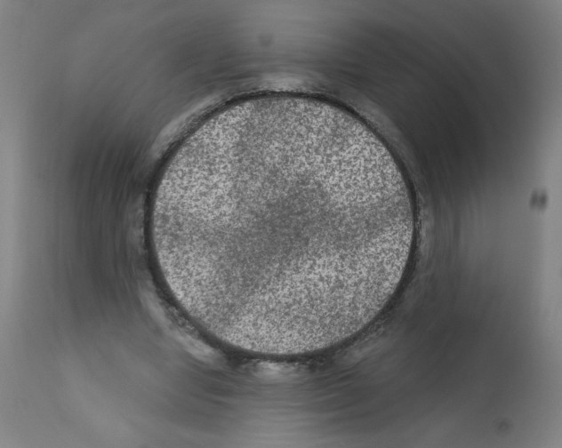 X0000112350442200909241106