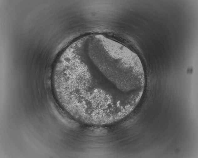 X0000112350443200909241106