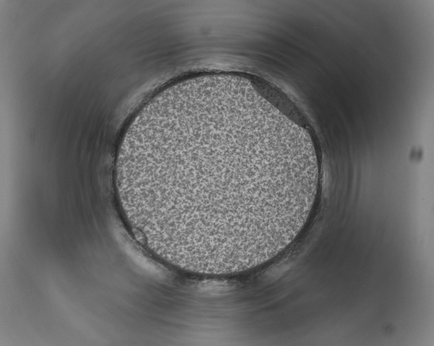 X0000112350445200909241106