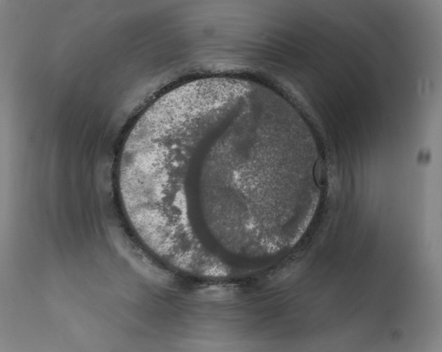 X0000112350447200909241106